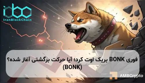 BONK بریک اوت کرد؛ آیا حرکت برگشتی آغاز شده؟ (BONK)
