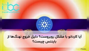 آیا کاردانو با مشکل روبروست؟ دلیل خروج نهنگ‌ها از بایننس چیست؟