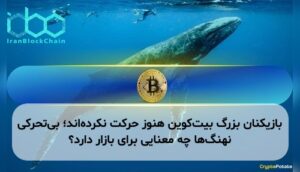 بازیکنان بزرگ بیت‌کوین هنوز حرکت نکرده‌اند؛ بی‌تحرکی نهنگ‌ها چه معنایی برای بازار دارد؟