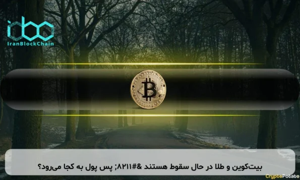 بیت‌کوین و طلا در حال سقوط هستند – پس پول به کجا می‌رود؟