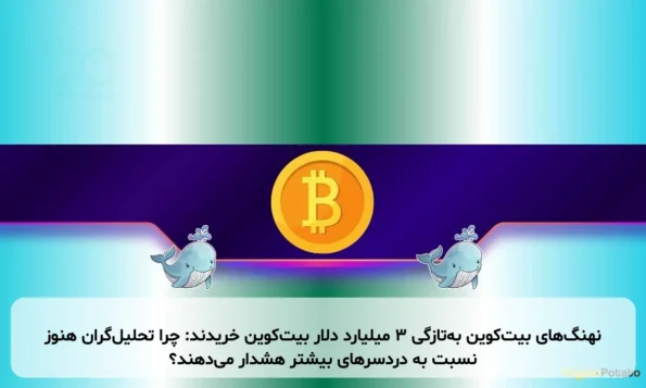 نهنگ‌های بیت‌کوین به‌تازگی ۳ میلیارد دلار بیت‌کوین خریدند: چرا تحلیل‌گران هنوز نسبت به دردسرهای بیشتر هشدار می‌دهند؟