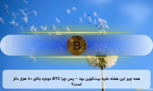 همه چیز این هفته علیه بیت‌کوین بود – پس چرا BTC دوباره بالای ۸۰ هزار دلار است؟