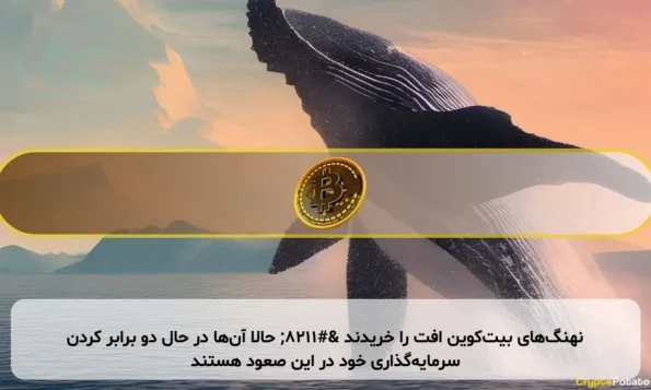 نهنگ‌های بیت‌کوین افت را خریدند – حالا آن‌ها در حال دو برابر کردن سرمایه‌گذاری خود در این صعود هستند