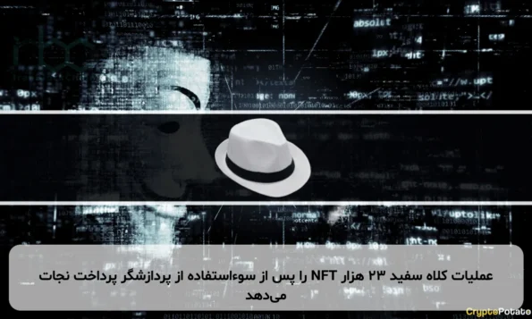عملیات کلاه سفید ۲۳ هزار NFT را پس از سوءاستفاده از پردازشگر پرداخت نجات می‌دهد