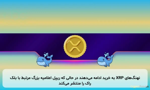 نهنگ‌های XRP به خرید ادامه می‌دهند در حالی که ریپل اعلامیه بزرگ مرتبط با بلک راک را منتشر می‌کند
