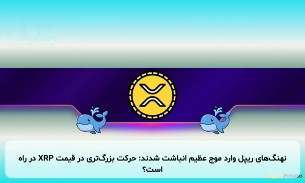 نهنگ‌های ریپل وارد موج عظیم انباشت شدند: حرکت بزرگ‌تری در قیمت XRP در راه است؟