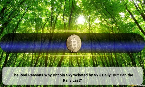The Real Reasons Why Bitcoin Skyrocketed by $7K Daily: But Can the Rally Last?