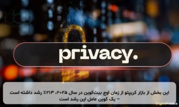این بخش از بازار کریپتو از زمان اوج بیت‌کوین در سال ۲۰۲۵، ۲۱۳٪ رشد داشته است – یک کوین عامل این رشد است