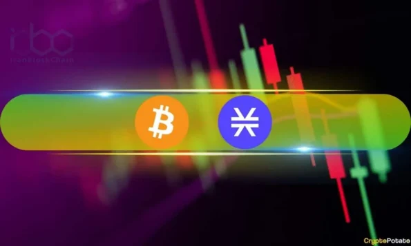 STX در برابر سقوط آلت‌کوین‌ها با افزایش دو رقمی مقاومت می‌کند، BTC در 77 هزار دلار تثبیت می‌شود: نظارت بر آخر هفته