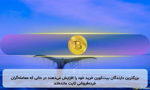 بزرگترین دارندگان بیت‌کوین خرید خود را افزایش می‌دهند در حالی که معامله‌گران خرده‌فروشی ثابت مانده‌اند