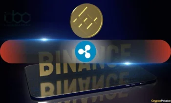 نهنگ‌های XRP تأثیر بیشتری بر بایننس می‌گذارند زیرا فاصله خروج به سطوح آگوست نزدیک می‌شود