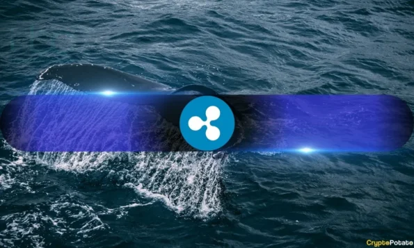 XRP نهنگ‌ها اکنون 68.5% از عرضه را کنترل می‌کنند، بالاترین سطح از سال 2022