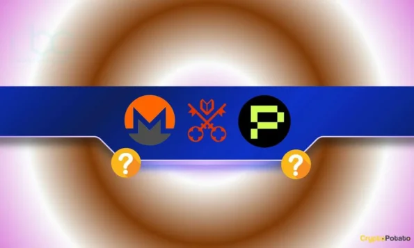 کوین‌های حریم خصوصی در حال حاضر XMR، VVV و PHA: آیا می‌توانند به رشد خود ادامه دهند؟